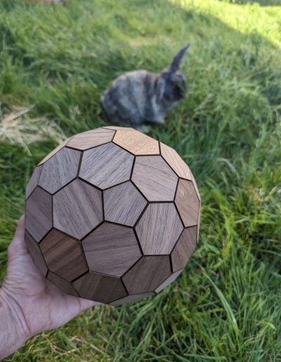 Hexpropello Dodecahedron plus Rabbit